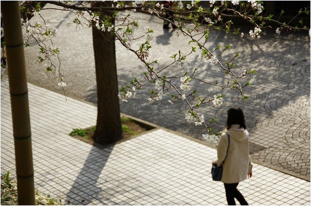 帰り道・・・_c0352813_19400543.jpg