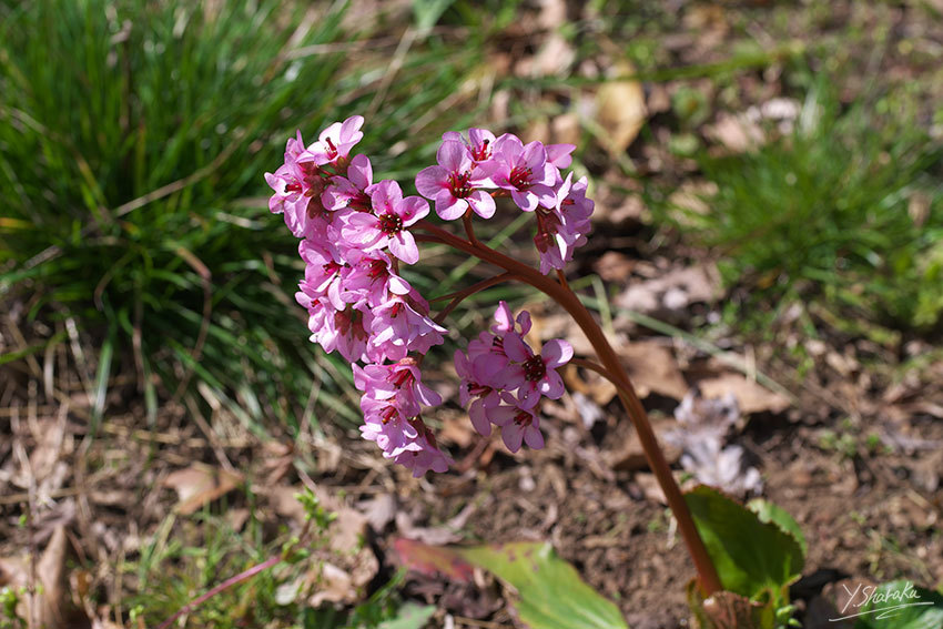f0344614_21430337.jpg