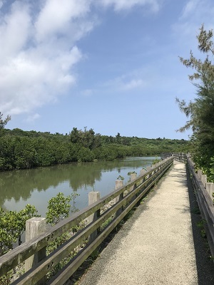 2019宮古島旅行～Part3～_c0227720_17274251.jpg