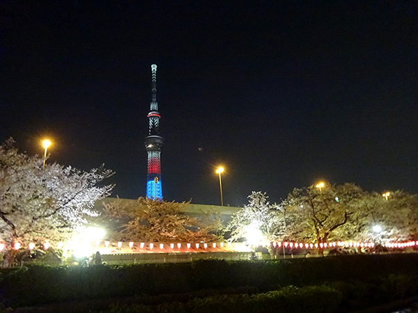 f0097523_20524906.jpg