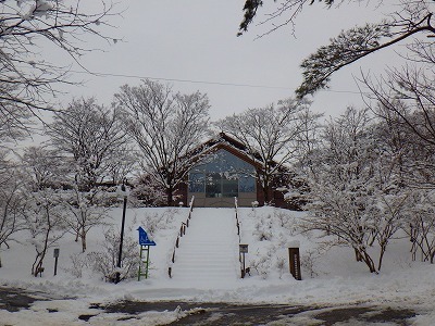 大雪です_b0189727_10342569.jpg