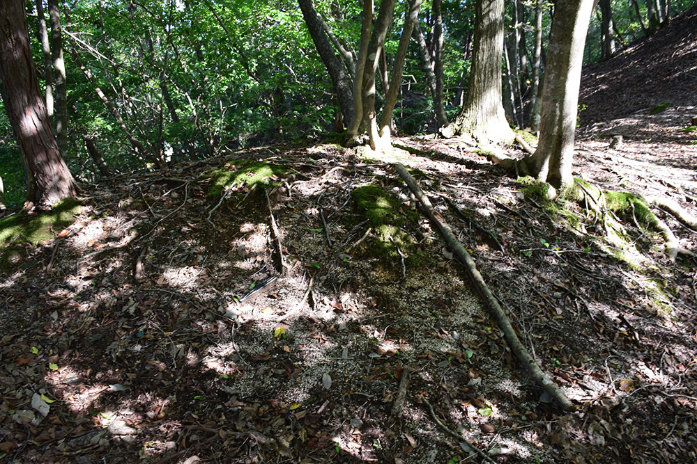 e0158128_22182556.jpg