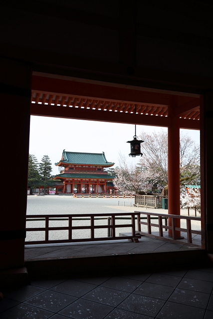 桜の京都2019 －平安神宮 桜の神苑早朝特別参拝（前編）－_b0169330_21422536.jpg