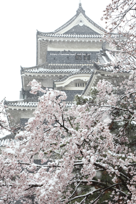 松本市 雪と桜の松本城 野沢温泉とその周辺いろいろ2 松本市 雪と桜の松本城 野沢温泉とその周辺いろいろ2