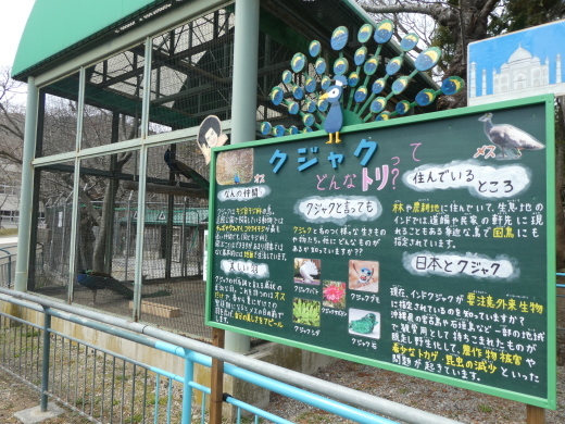 函館公園ニュース　４月１１日（木）_e0145841_13582551.jpg