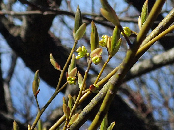 f0214649_05295781.jpg