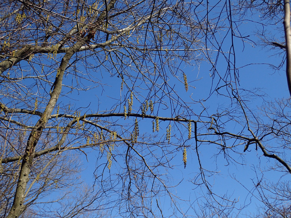 f0214649_05301146.jpg
