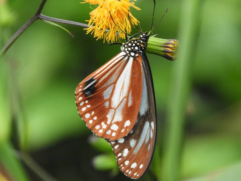 b0160957_20360243.jpg
