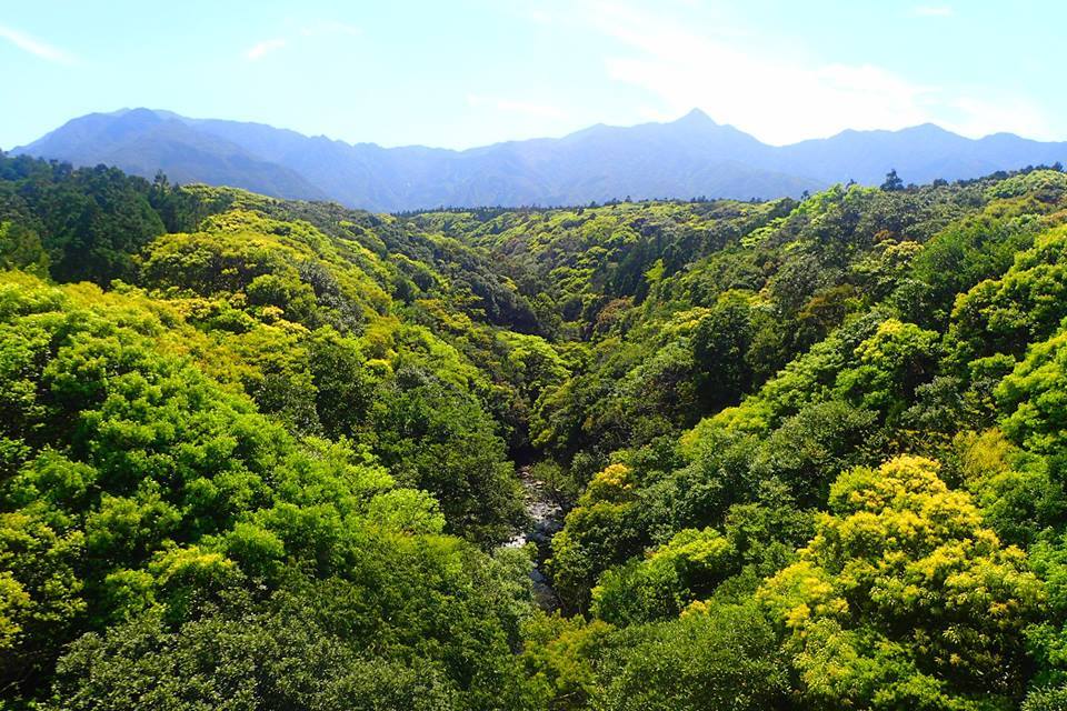 b0160957_20362175.jpg