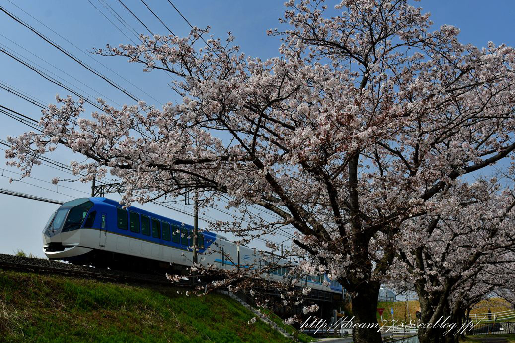 近鉄の桜_c0356757_23152073.jpg