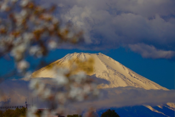 a0248459_16304485.jpg
