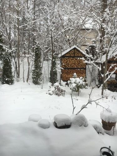 e0325660_20151614.jpeg