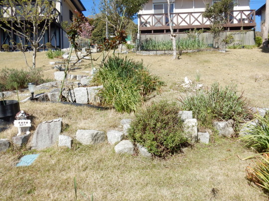 ’19,4,11(木)暖かいと庭仕事で大忙し!_f0060461_13254603.jpg