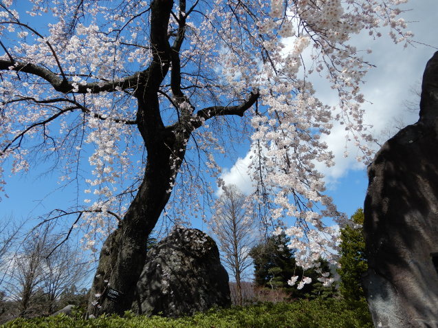 f0104169_20093278.jpg