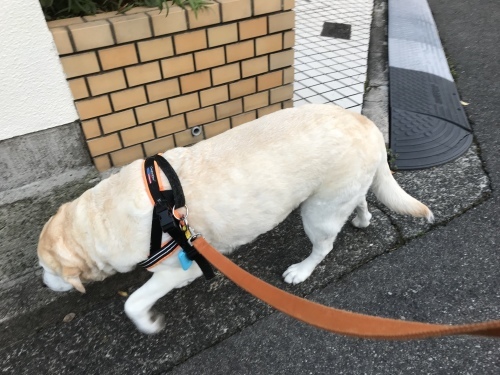 f0315081_21584201.jpeg