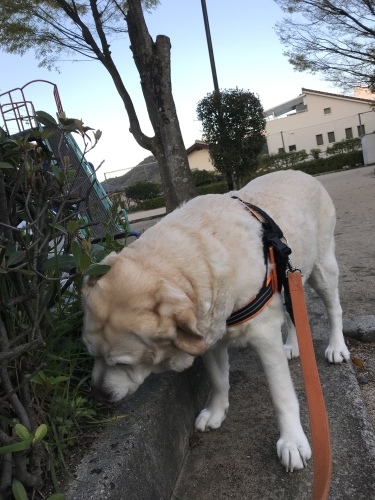 f0315081_22001259.jpeg