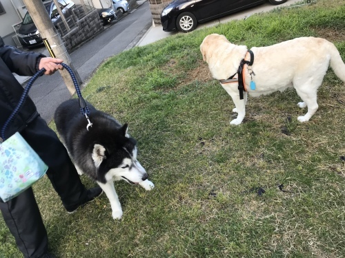 f0315081_22053717.jpeg