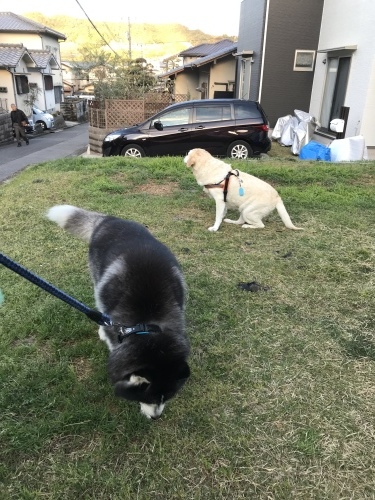 f0315081_22062733.jpeg