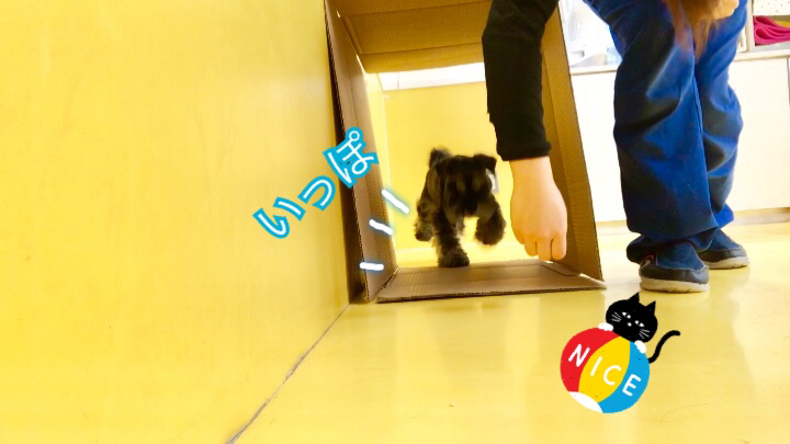 お天気が悪くても;(´•௰•`)_f0357682_15355952.jpg
