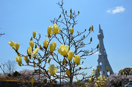 c0229483_1275269.jpg