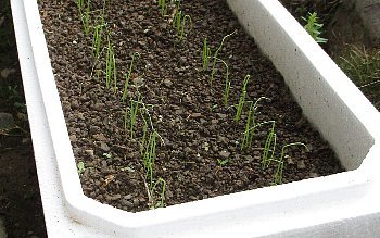 f0003283_18132485.jpg