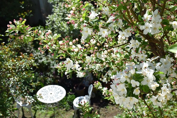 d0099791_10263532.jpg