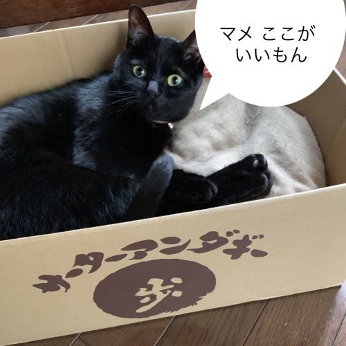 四月教室_e0358096_16484617.jpeg