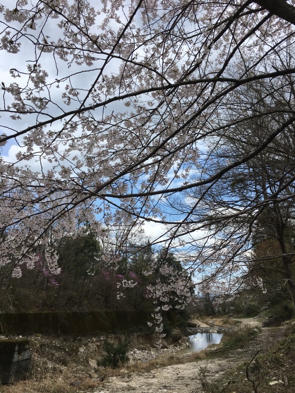 b0220002_10015003.jpeg