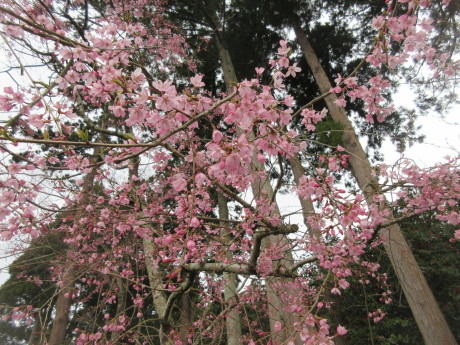a0203003_21500049.jpg