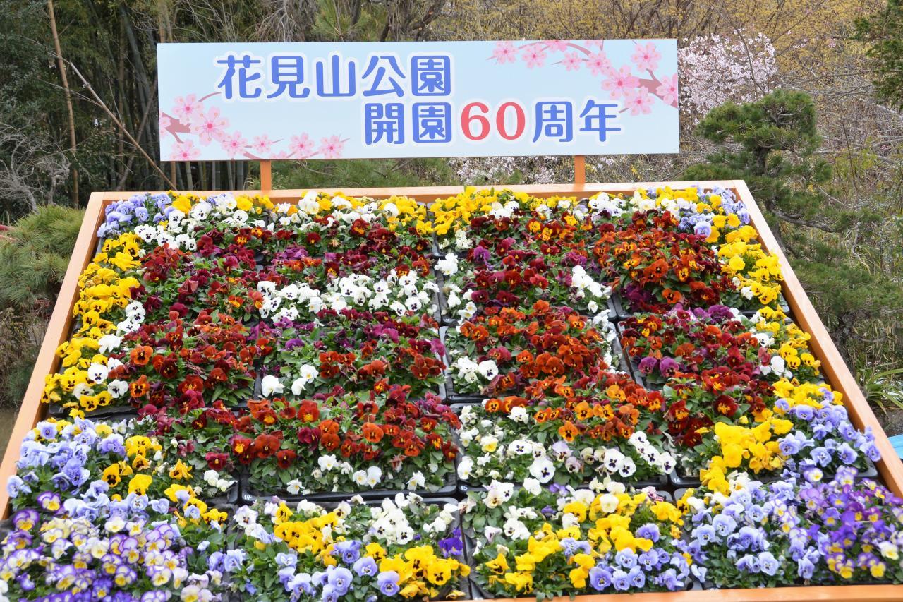 a0148206_20372719.jpg