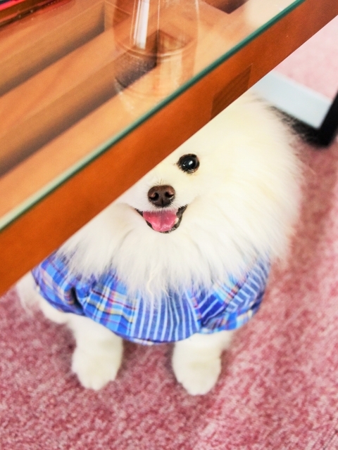 立ち入り禁止になった日は_d0360206_00351622.jpg