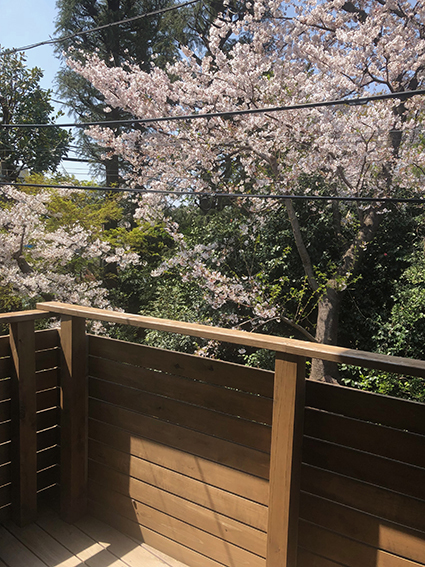 桜の見えるりんごの家_a0148909_10071750.jpeg
