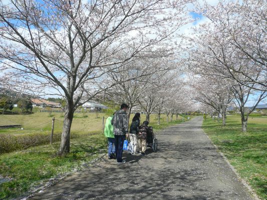 4/11 天啓公園_a0154110_08144290.jpg