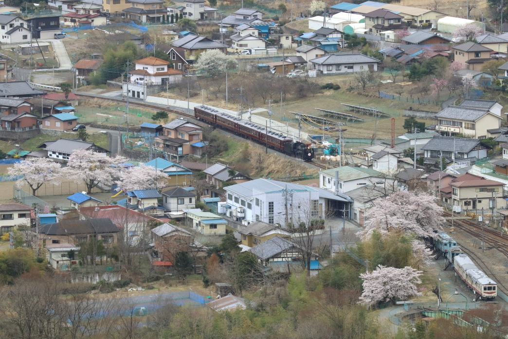 桜と保存車両の待つ駅を目指す汽車 - 2019年桜・秩父 -_b0190710_21314811.jpg