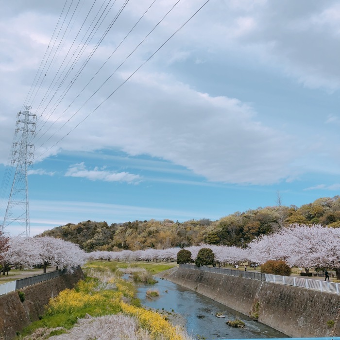 引地川親水公園〜浄見寺〜茅ヶ崎_d0138811_09572964.jpeg