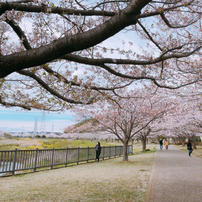 引地川親水公園〜浄見寺〜茅ヶ崎_d0138811_09592092.jpeg