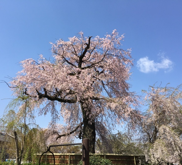 b0174913_15405550.jpg