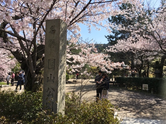 b0174913_15412985.jpg