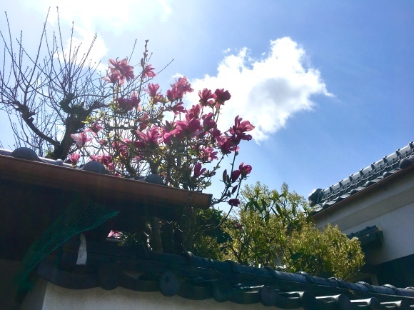 b0174913_15514811.jpg