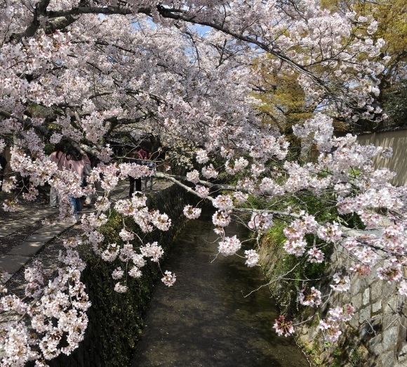 b0174913_15521659.jpg