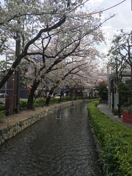 b0174913_15560859.jpg