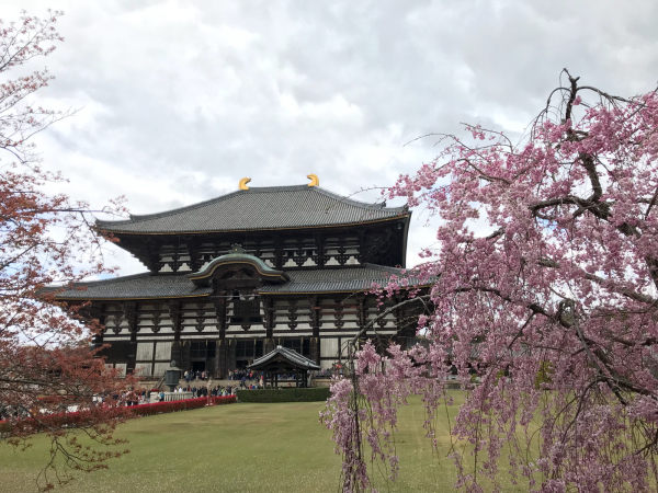 東大寺_c0150825_11593655.jpg