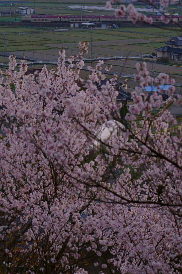 f0037227_20423070.jpg