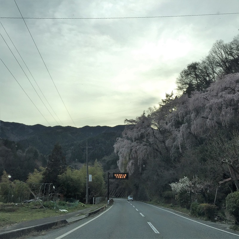 マニュアル車の楽しみ_f0076731_21134532.jpg