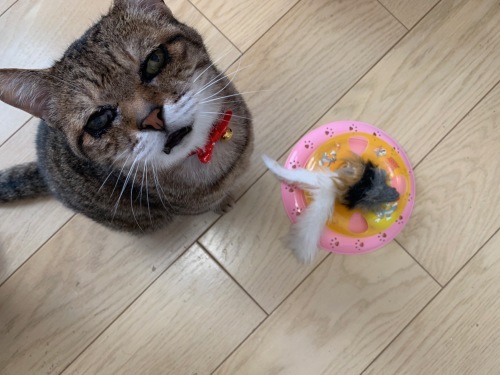 c0342535_16353694.jpeg