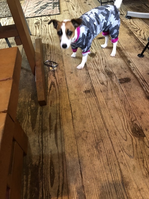 b0369239_15452769.jpeg