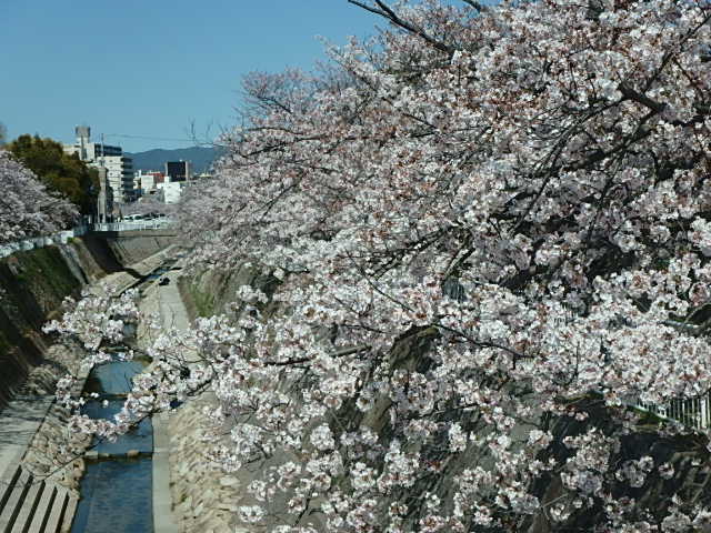 f0334143_15311245.jpg