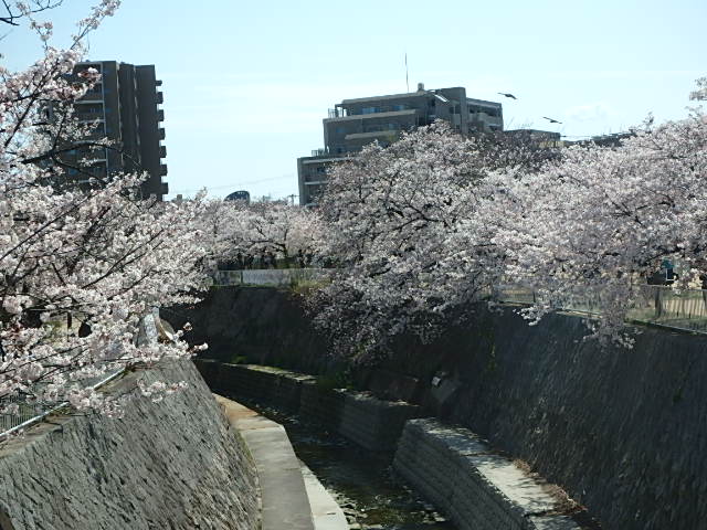 f0334143_15312591.jpg
