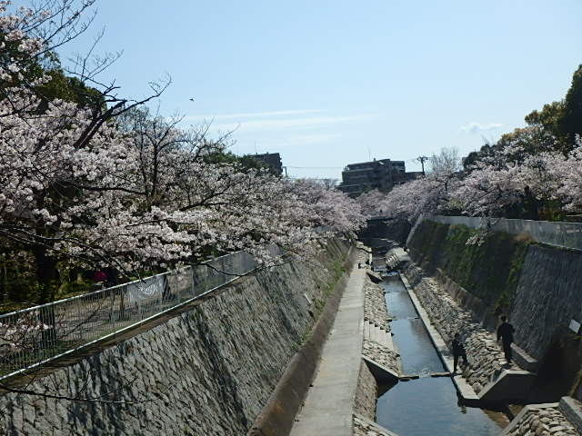 f0334143_1531567.jpg