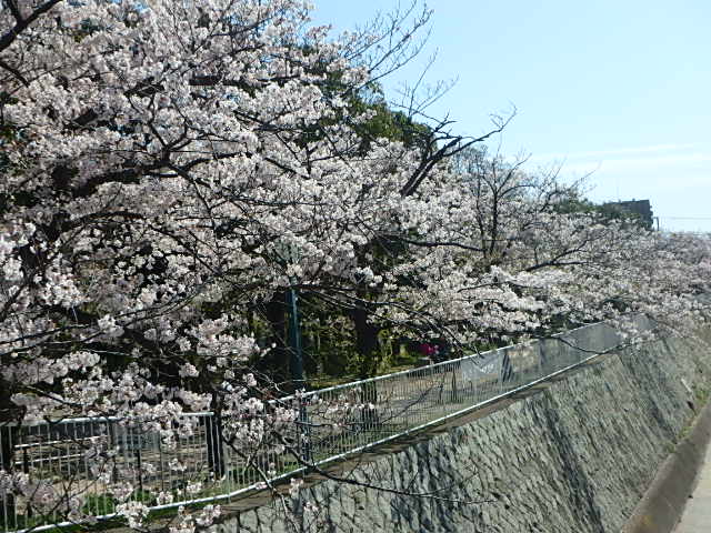 f0334143_1532258.jpg